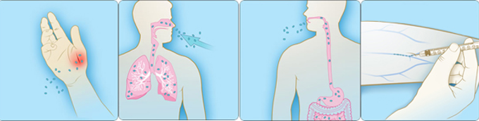 anthrax molecule entering the body in the four different ways