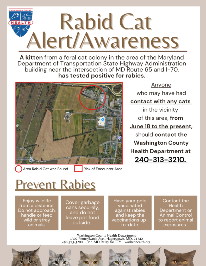 Rabid Cat Alert/Awareness flyer. Notice includes details from narrative on website.