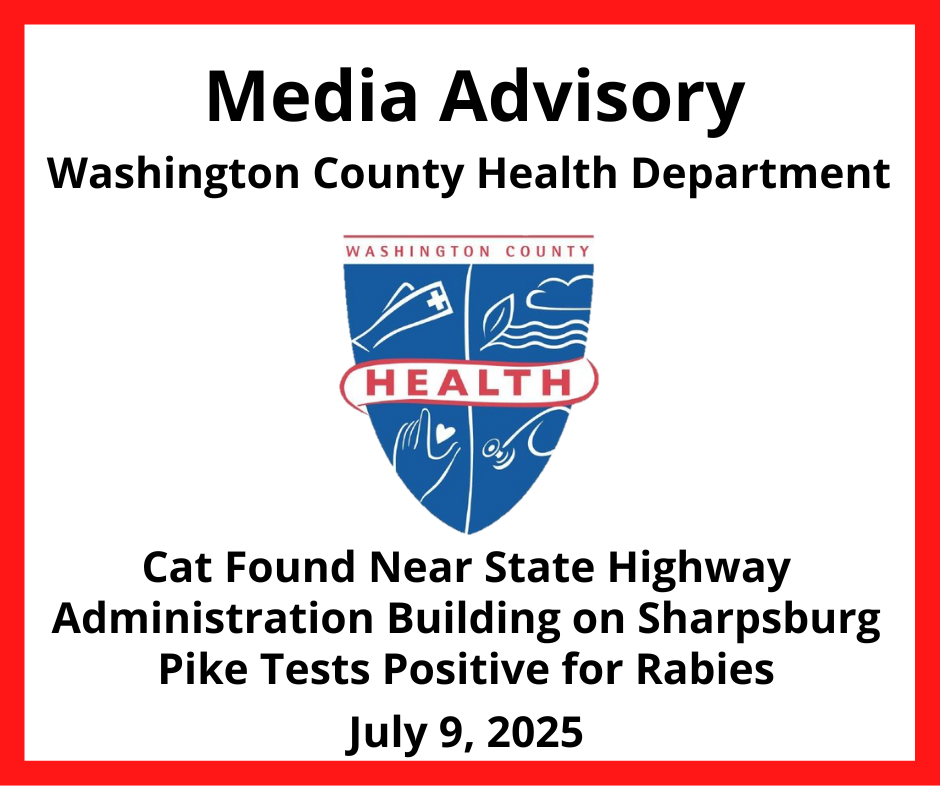Media Alert: Kitten Found Near Feral Cat Colony Close to SHA Building Positive For Rabies
