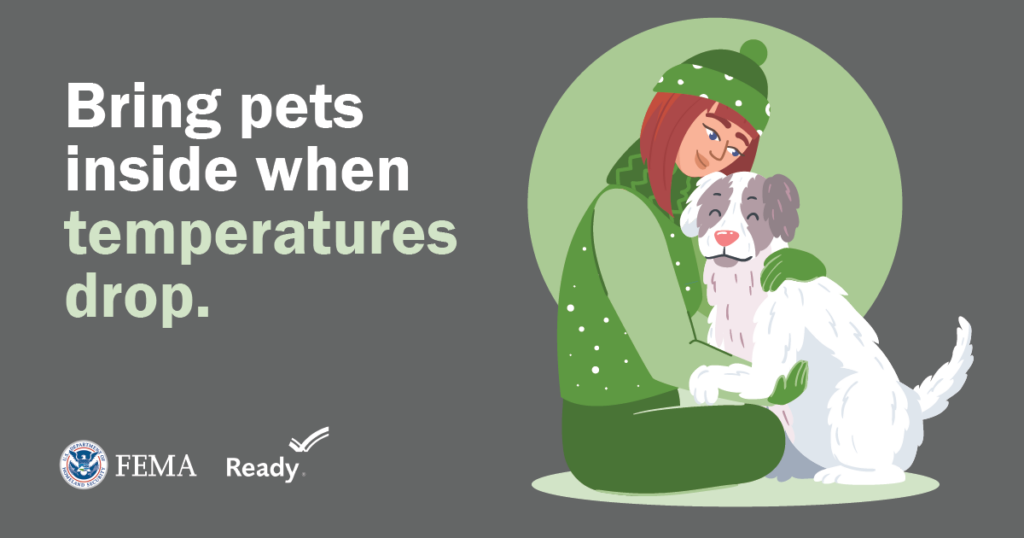 Bring pets inside when temperatures drop.